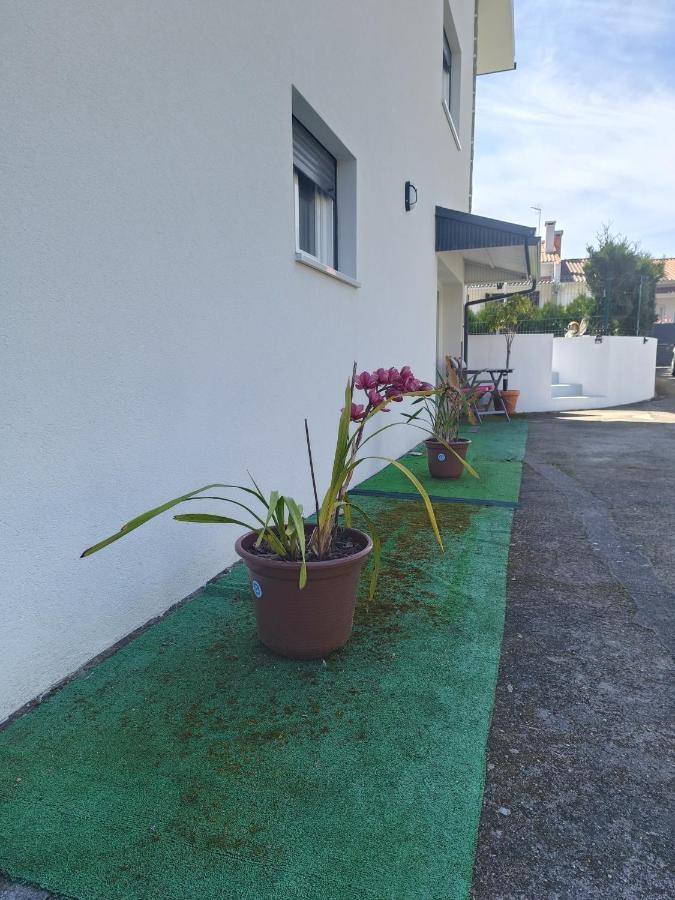 Cabedelo Seaside Guesthouse Viana do Castelo Eksteriør billede